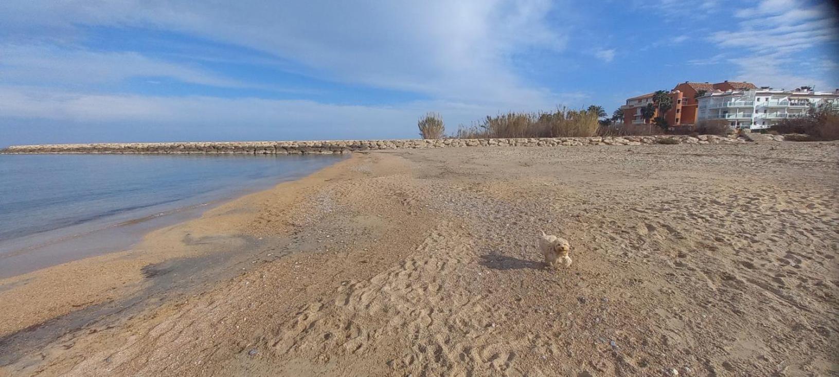 Beach View - Primera Linea Lujo Denia Exteriör bild